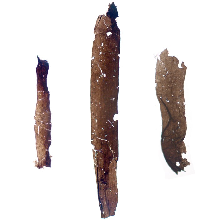 Lineaforma_website_1